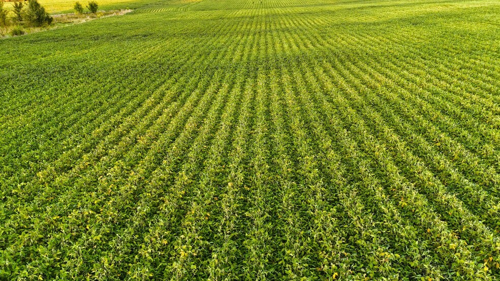 More Photos Of Rock Creek Drive, Maxwell Land For Sale