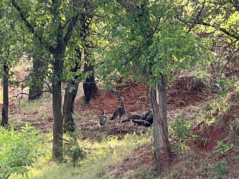 More Photos Of 10807 N 1960 Rd, Elk City Land For Sale