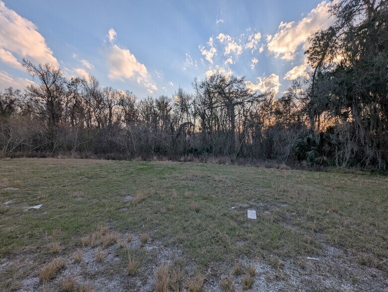 More Photos Of 275 S Highway 17 Hwy, East Palatka Land For Sale