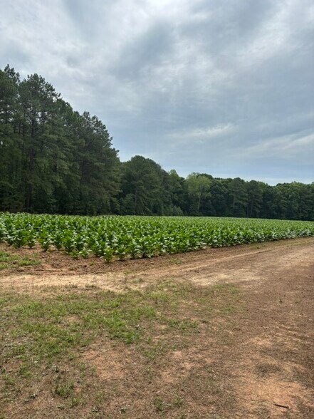 More Photos Of 2723 Mays Crossroad Crossroads, Youngsville Land For Sale