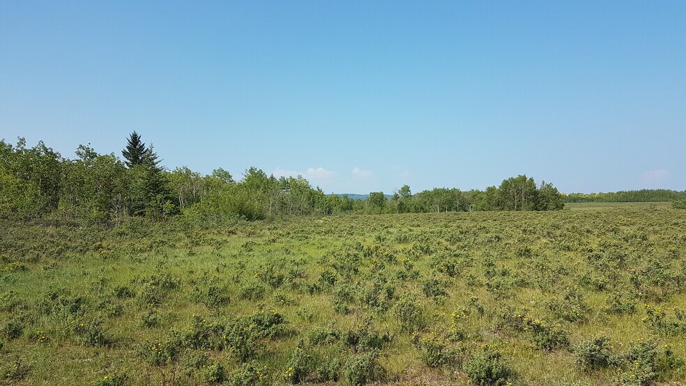 More Photos Of 1 Bow River, Rocky View No 44 Land For Sale