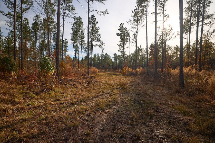 More Photos Of 480 Martin Rd, Cotton Valley Land For Sale