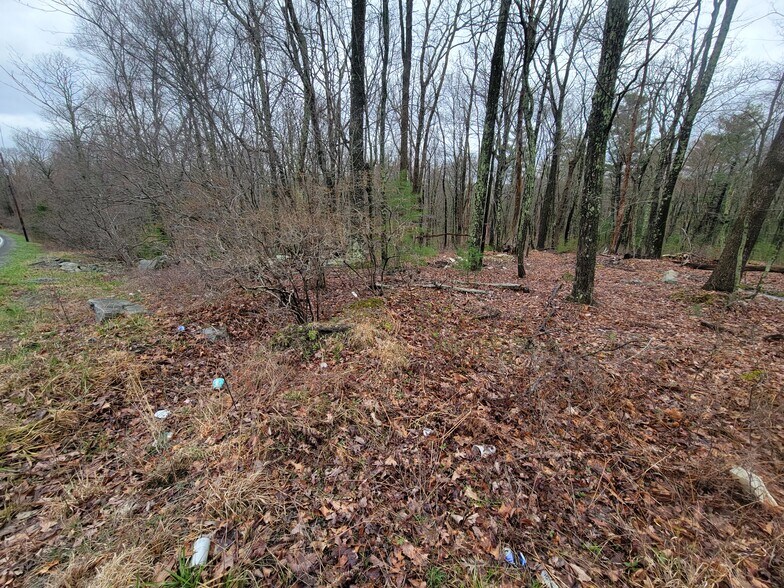 More Photos Of Pennsylvania 739, Dingmans Ferry Land For Sale
