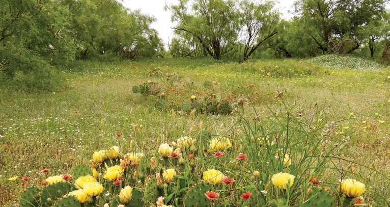 More Photos Of 1510 US Highway 83, Childress Land For Sale