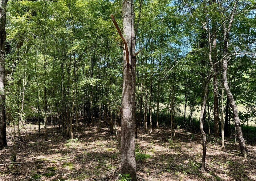 More Photos Of First St, Flora Land For Sale