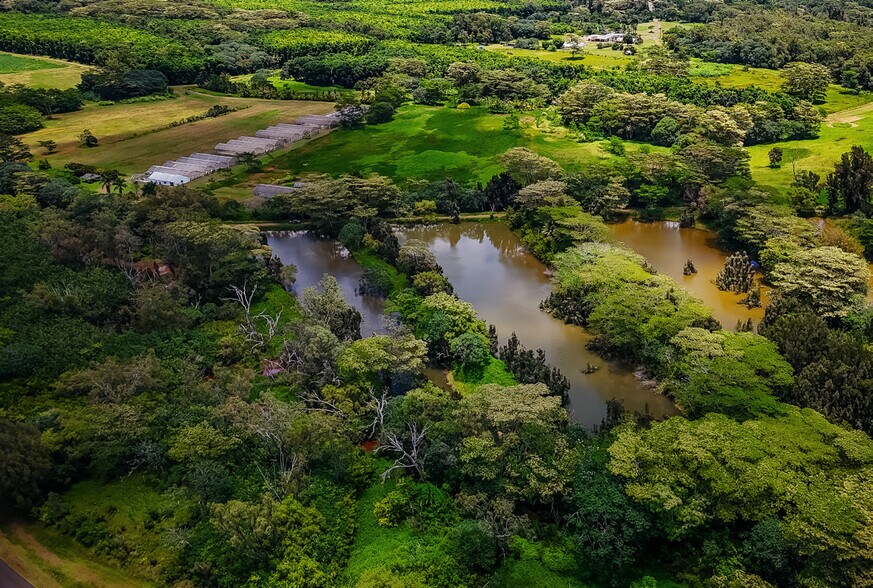 More Photos Of 5545 Kahiliholo Rd, Kilauea Land For Sale