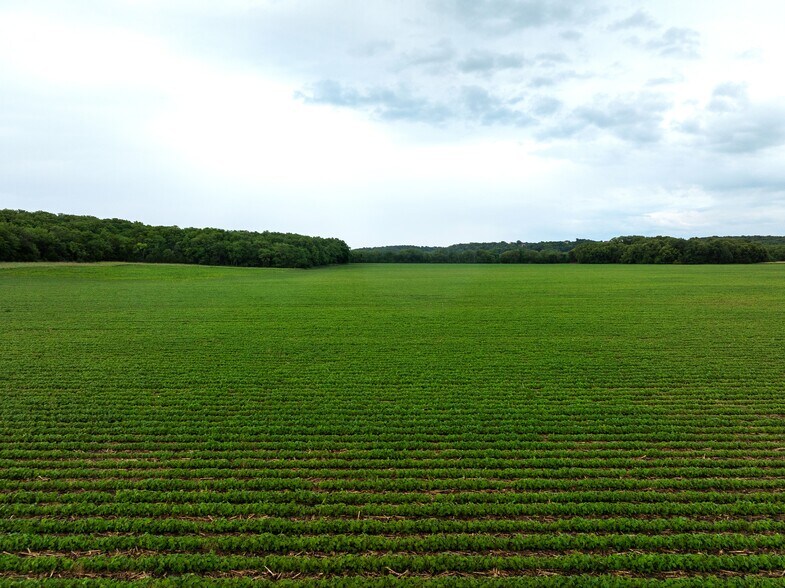 More Photos Of 2132 N River School Rd, Winterset Land For Sale