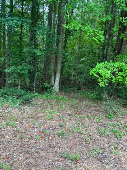 More Photos Of 2723 Mays Crossroads Rd, Youngsville Land For Sale