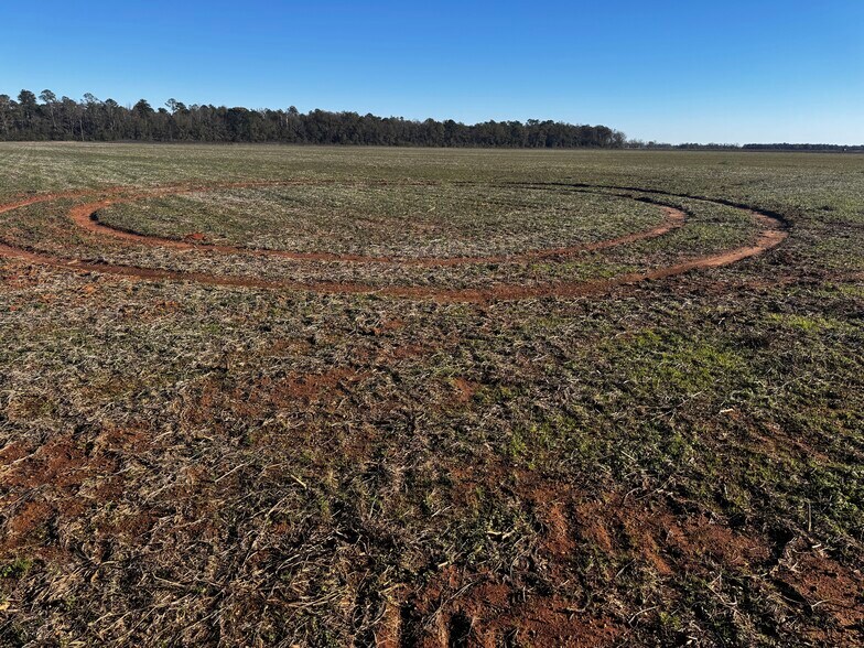 More Photos Of 0 Wiggins Road, Frisco City Land For Sale