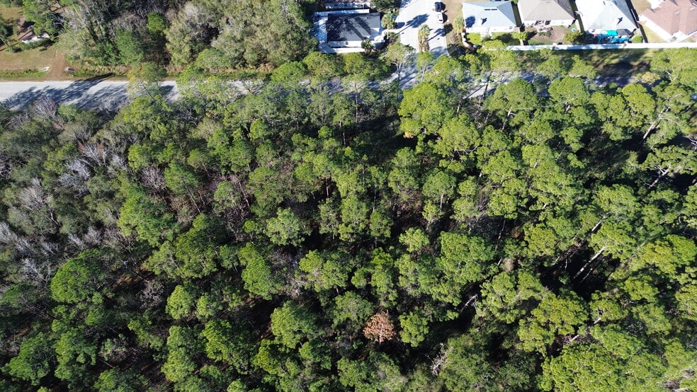 More Photos Of 0 Baxley Rd, Middleburg Land For Sale