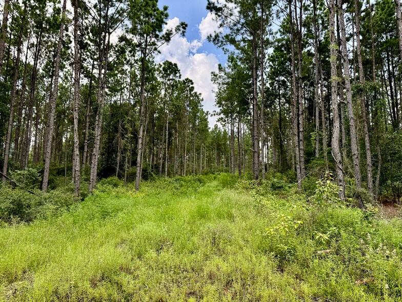 More Photos Of 0 Slim Palmer Road, Zavalla Land For Sale