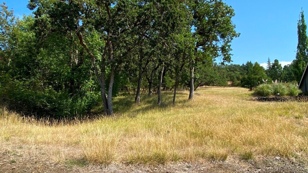 More Photos Of 1219 Junker, Roseburg Land For Sale