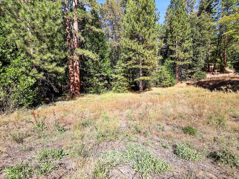 More Photos Of 13651 US Hwy 50, Kyburz Land For Sale