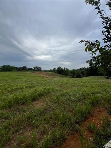 More Photos Of 12251 FM 16 E, Winona Land For Sale