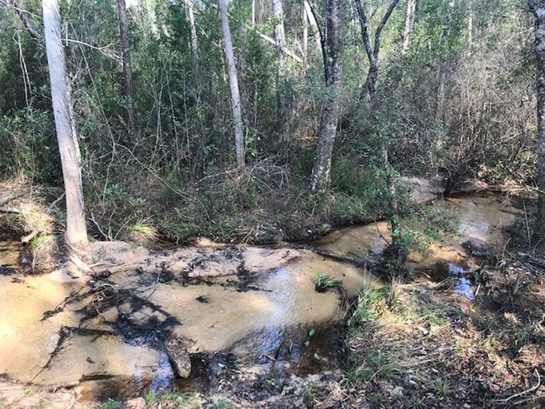 More Photos Of 8107 Blackwater Ridge Rd, Milton Apartments For Sale