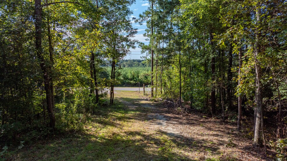 More Photos Of 1901 Grey Land rd, Greensboro Land For Sale