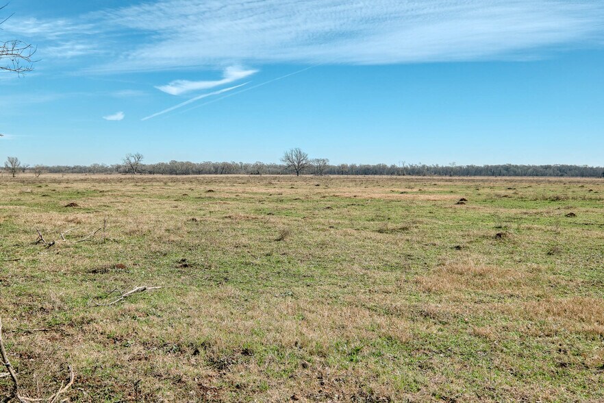 More Photos Of 42919 Addie Gee rd, Hempstead Land For Sale