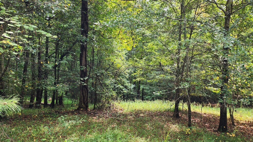 More Photos Of 1661 Friendship Rd, Hoschton Land For Sale