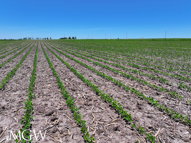 More Photos Of Herman Road, Lee Land For Sale