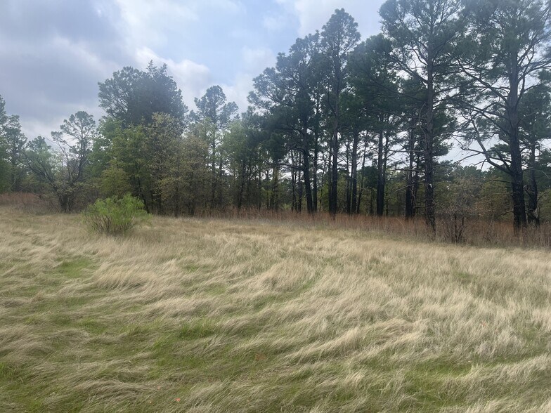 More Photos Of 2548 County Road 2690, Alvord Land For Sale