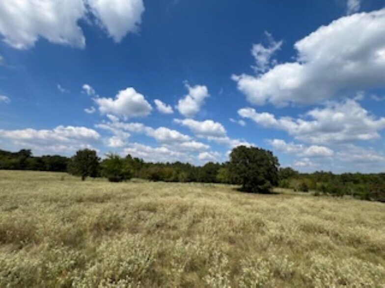 More Photos Of 21805 U.S. HWY 69S hwy, Bullard Land For Sale