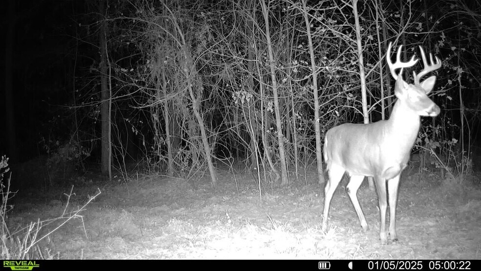 More Photos Of 4433 Pat Thomas Pky, Quincy Land For Sale