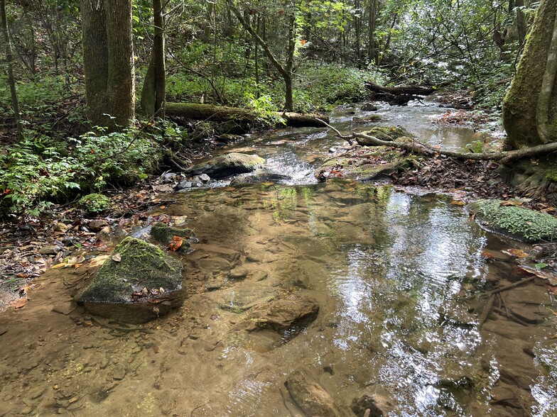 Primary Photo Of Zion Hill Road, Ellijay Land For Sale