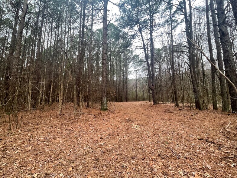 More Photos Of 0 Hwy 70 & Browns Church Road hwy, Jackson Land For Sale