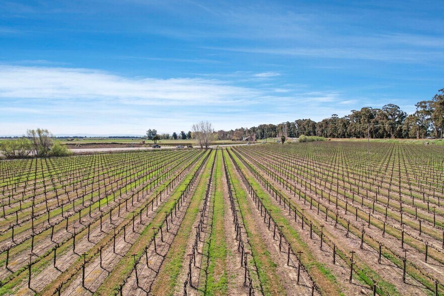 More Photos Of 16550 CA-160, Isleton Land For Sale