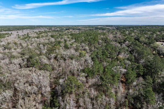 More Photos Of , Tallahassee Land For Sale
