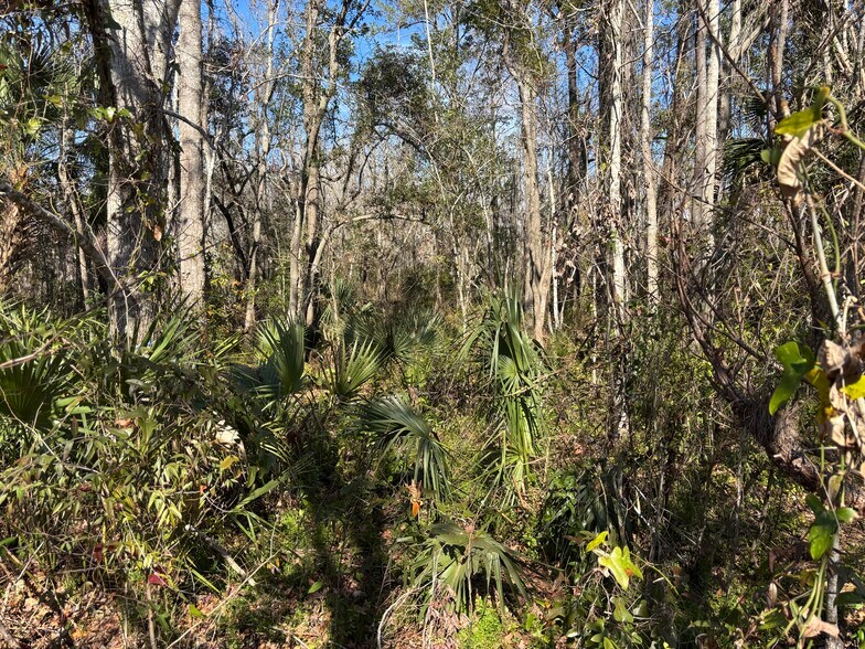 More Photos Of 1000 Cooks Lane, Green Cove Springs Land For Sale