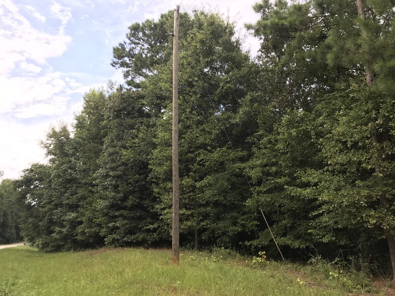 More Photos Of 103 Bailey Jester Rd, Griffin Land For Sale