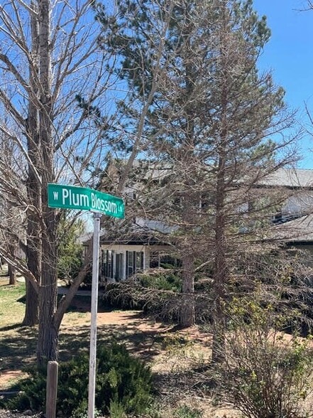 More Photos Of 550 W Garden Ln, Snowflake Assisted Living For Sale