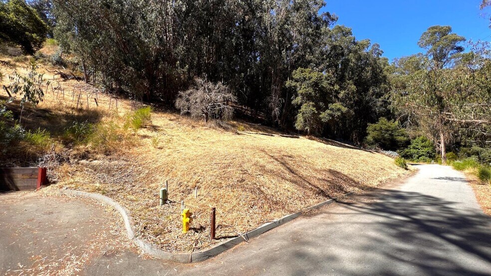 More Photos Of 00 Lupine Lane, Santa Cruz Land For Sale