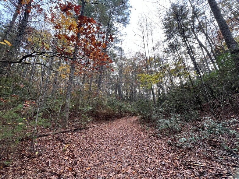 More Photos Of Whitecliff Drive, Ellijay Land For Sale