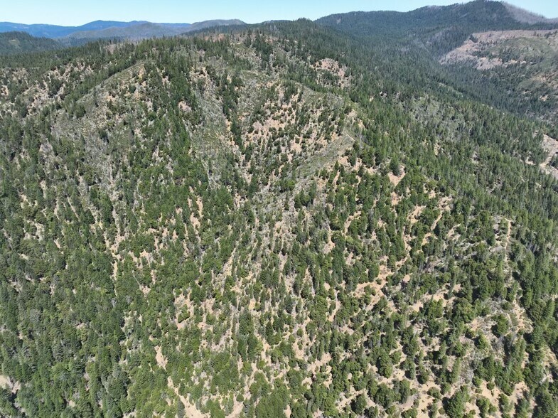 Primary Photo Of 2510 Fs rd, Hyampom Land For Sale