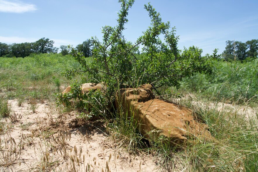 More Photos Of 00 Taylorsville Rd, Red Rock Land For Sale