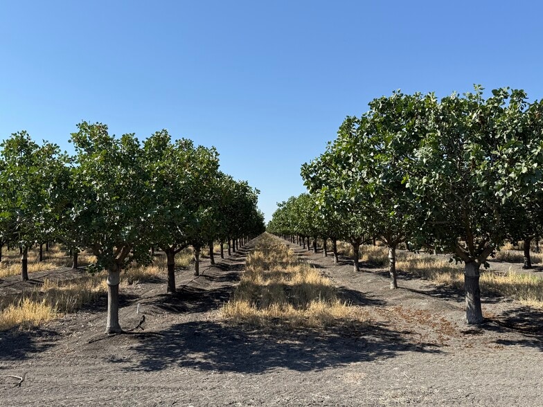 Primary Photo Of W South ave, Tranquillity Land For Sale
