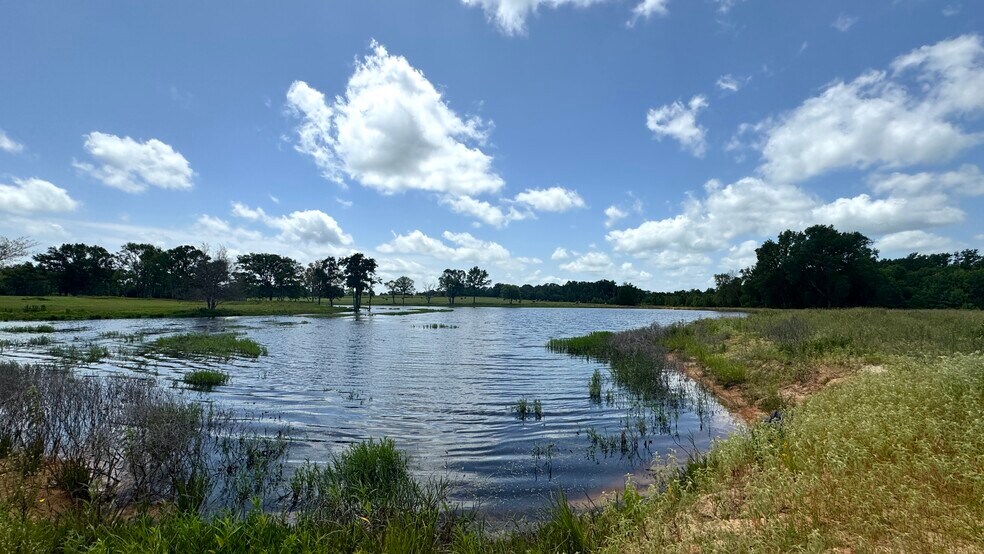 More Photos Of 13530 FM 773, Ben Wheeler Land For Sale