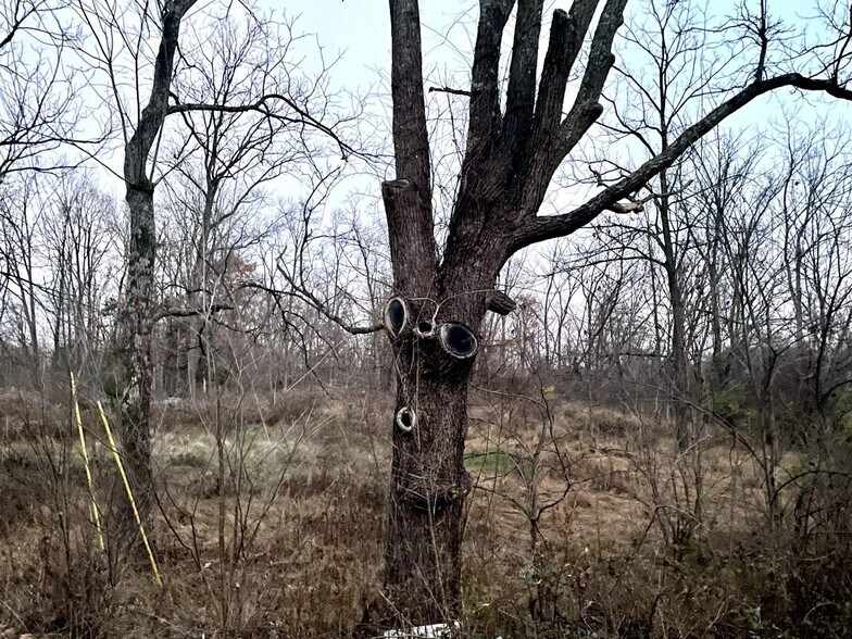 More Photos Of 13022 Route 9W, West Coxsackie Land For Sale