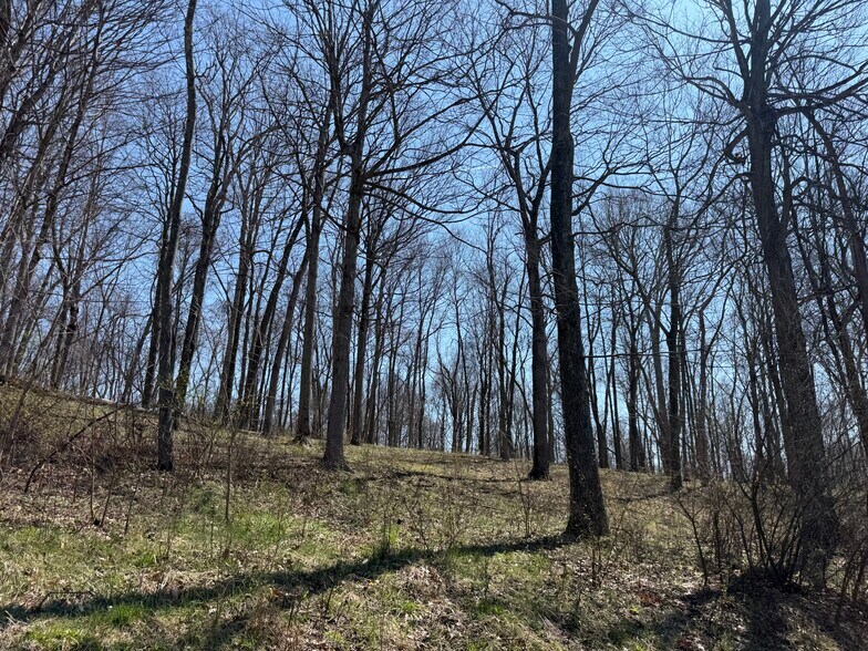 More Photos Of 0 Kragel Rd, Wintersville Land For Sale