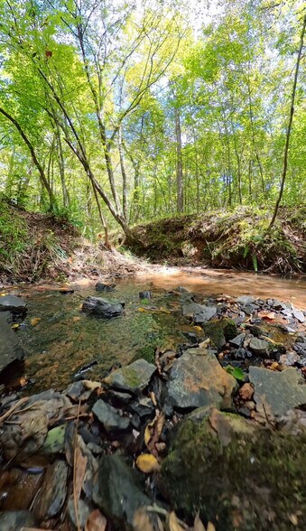 More Photos Of 202 Salem Church Miller Rd, Gray Land For Sale