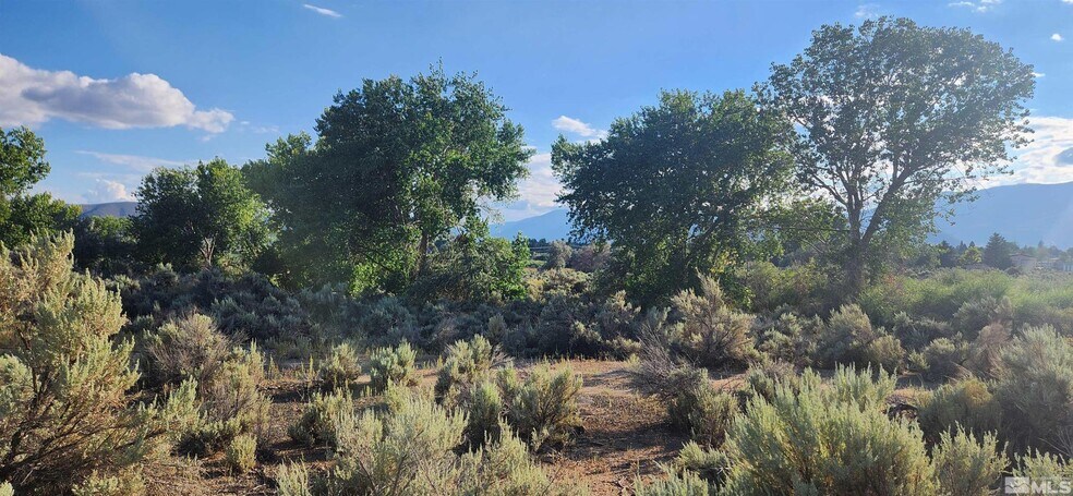 More Photos Of 5155 US Highway 50, Carson City Land For Sale