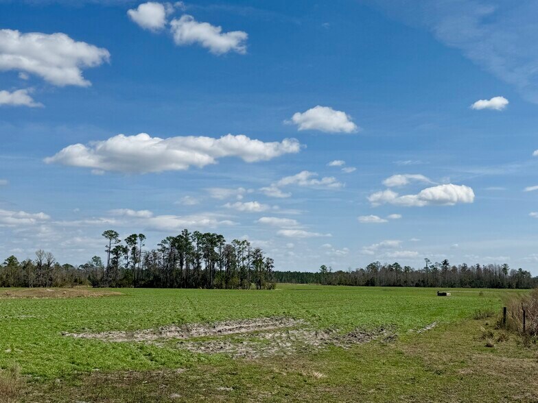 More Photos Of 4597 State 24 rd, Bronson Land For Sale