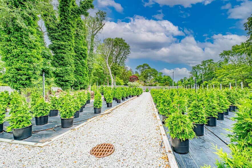 More Photos Of 185 N Country Rd, Mount Sinai Garden Center For Sale