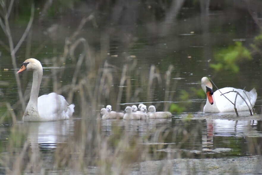 More Photos Of 10220 Lauer Rd, Baroda Winery Vineyard For Sale