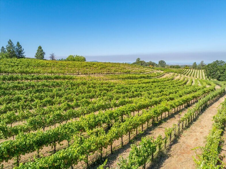 More Photos Of 31630 Forwards Rd, Manton Land For Sale