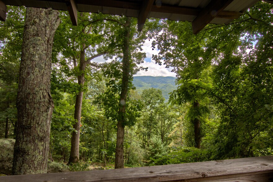 More Photos Of 5830 NC 209 Hwy, Hot Springs Specialty For Sale