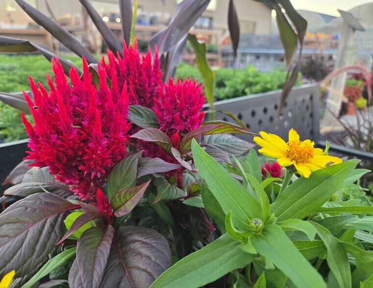 More Photos Of 22085 580th Ave, Ames Specialty For Sale