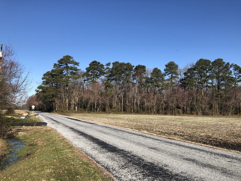 More Photos Of Route 113 & McCabe Rd, Selbyville Land For Sale